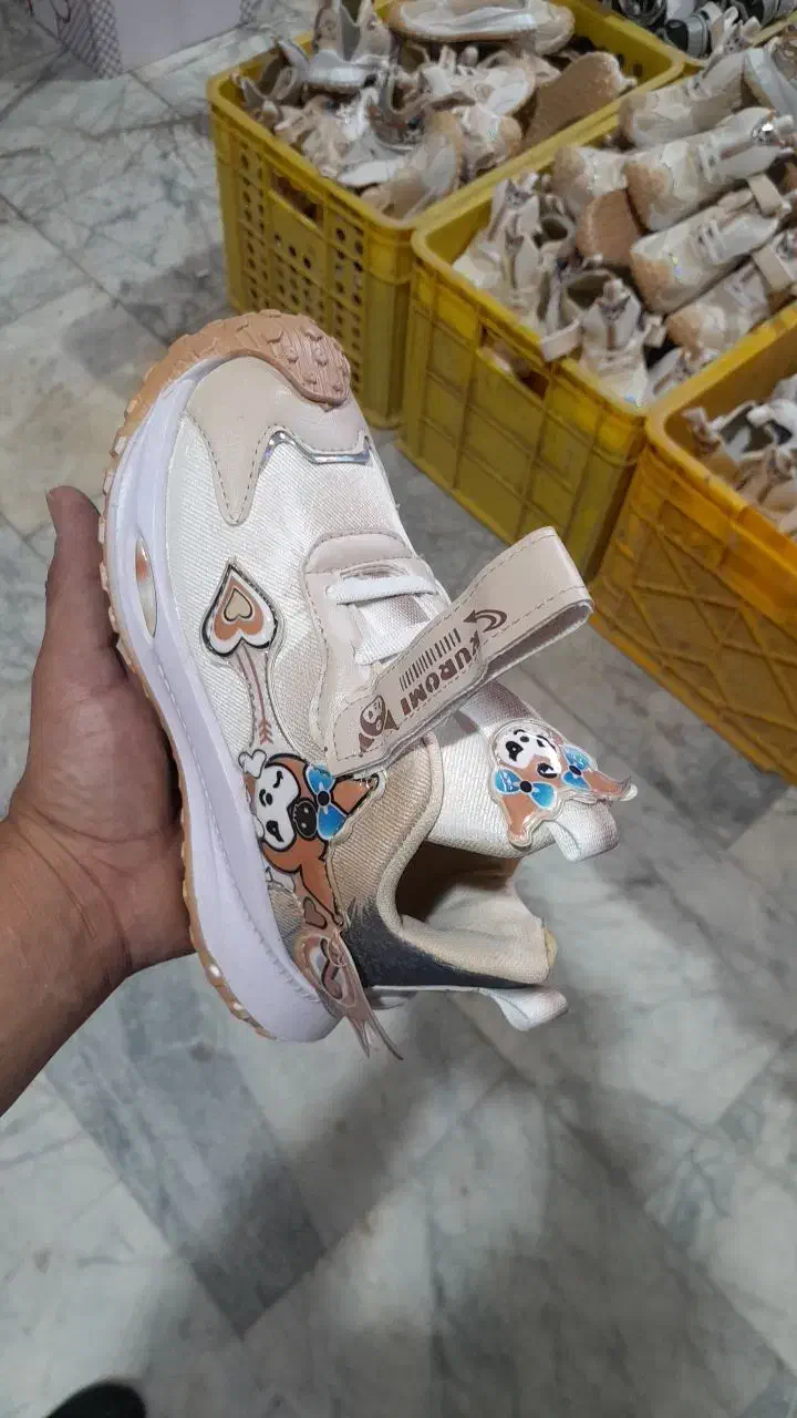 کفش|کیف، کفش، کمربند|ابهر, |دیوار