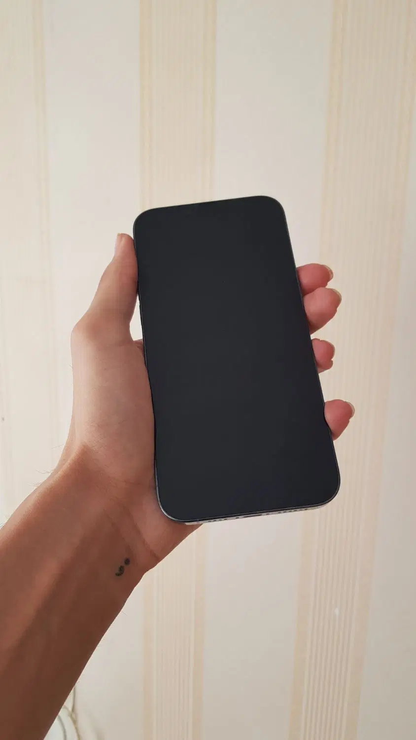 13 pro max|موبایل|تهران, تهرانسر شمالی|دیوار