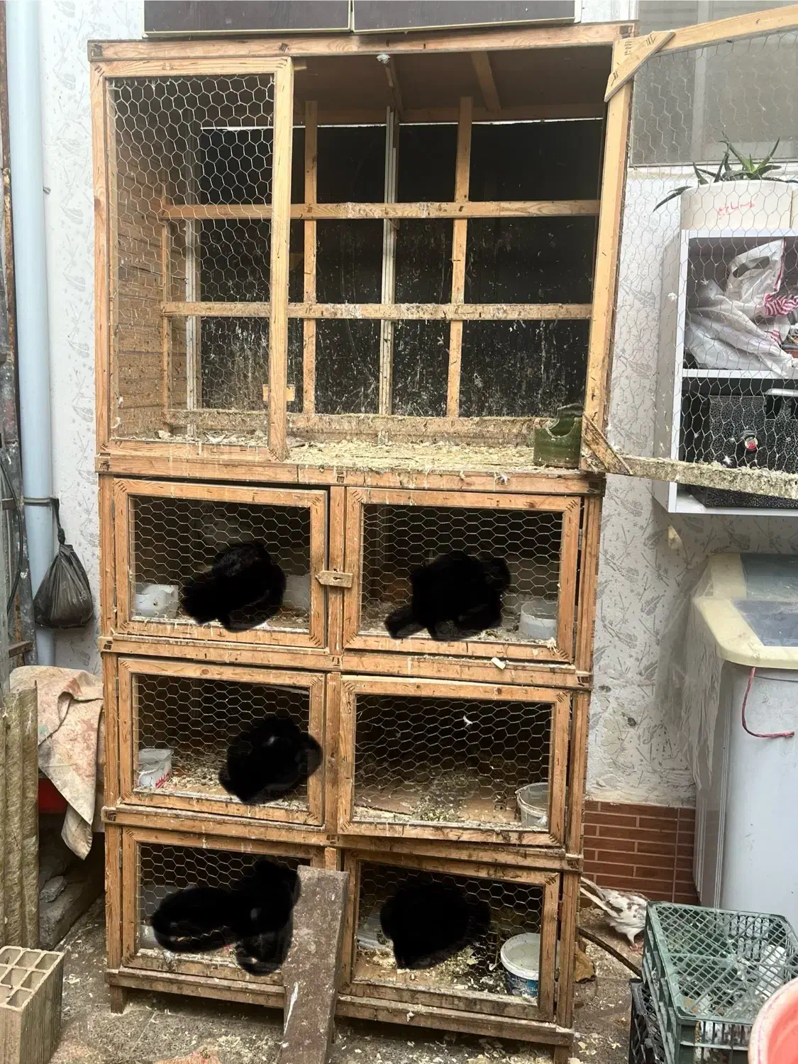 لانه کار کرده|لوازم جانبی حیوانات|رشت, دیانتی|دیوار