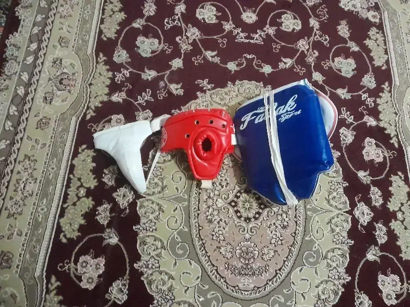 هوگو و کلاه تکواندو|تجهیزات ورزشی|تالش, هشتپر|دیوار