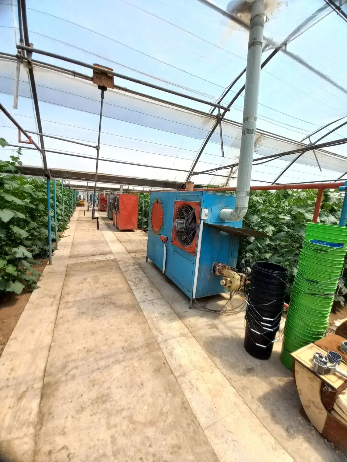 گلخانه فعال با اقامتگاه،امکانات کامل نزدیک پایتخت|فروش دفتر صنعتی، کشاورزی، تجاری|باغستان, |دیوار