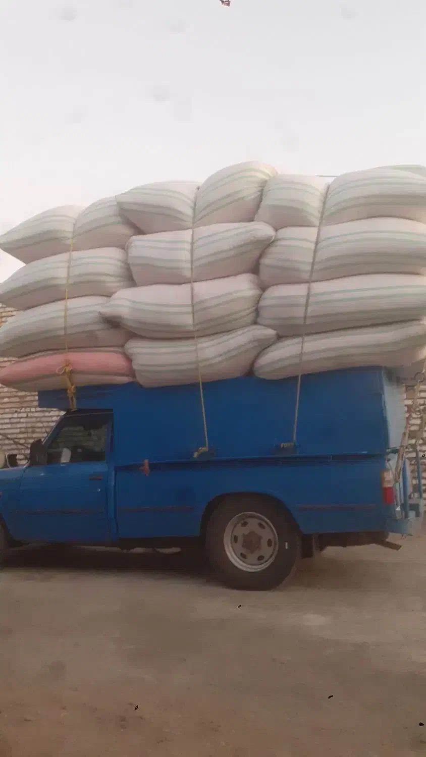 پنجاه تن کاه گندم|عمدهفروشی|بزینه رود, |دیوار