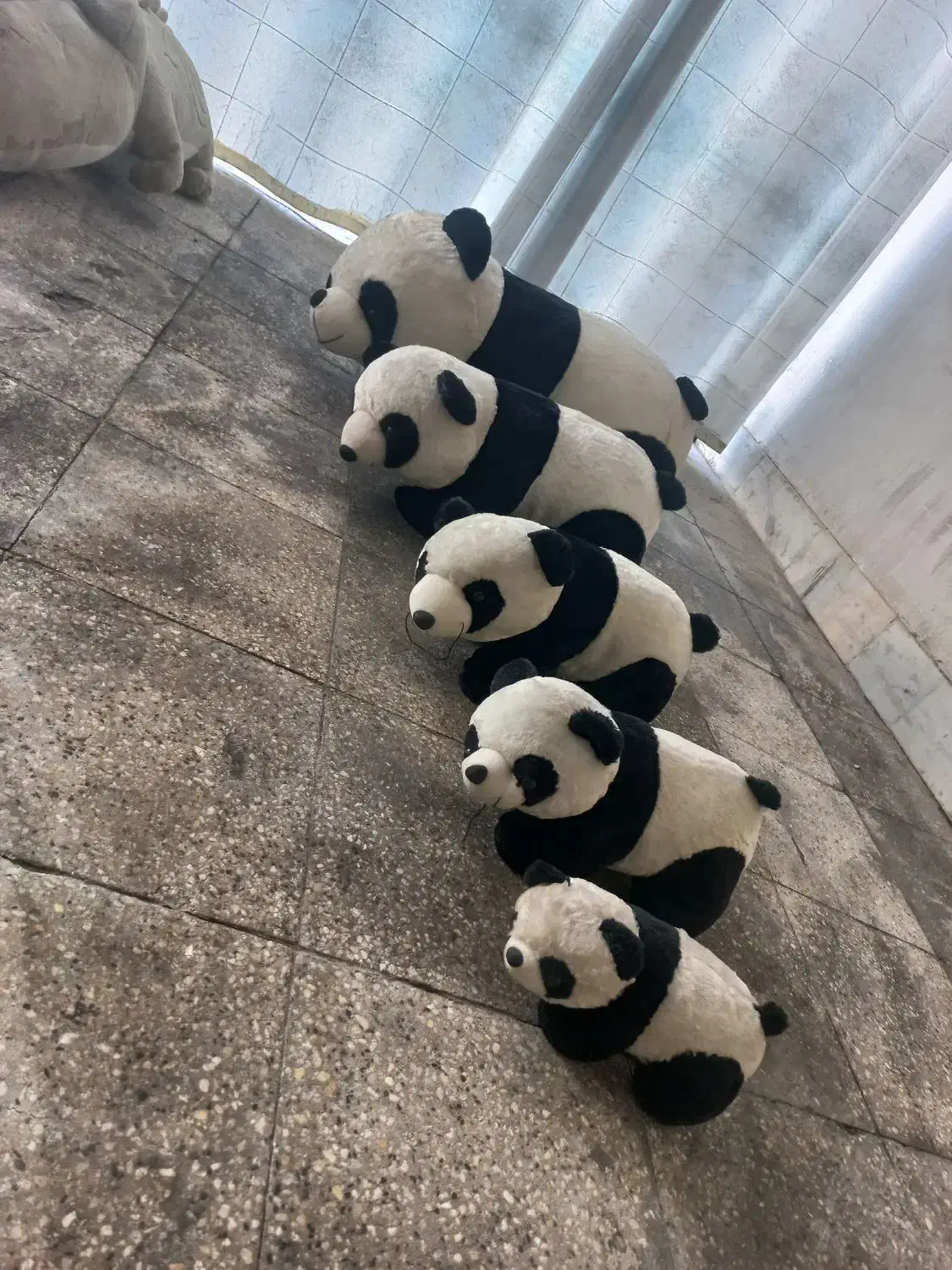 عروسک|اسباب‌‌بازی|تهران, میدان میوه و تره‌بار مرکزی|دیوار