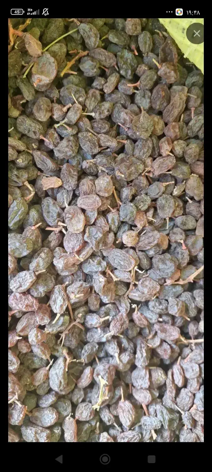 کشمش وگردو|خوردنی و آشامیدنی|باغستان, |دیوار