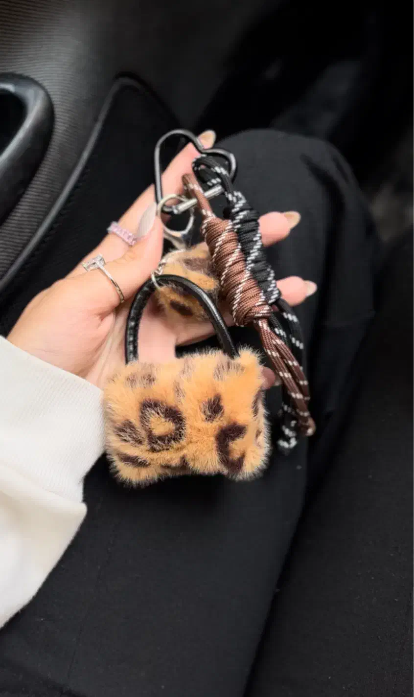 چارم بگ|کیف، کفش، کمربند|مشهد, کوثر|دیوار