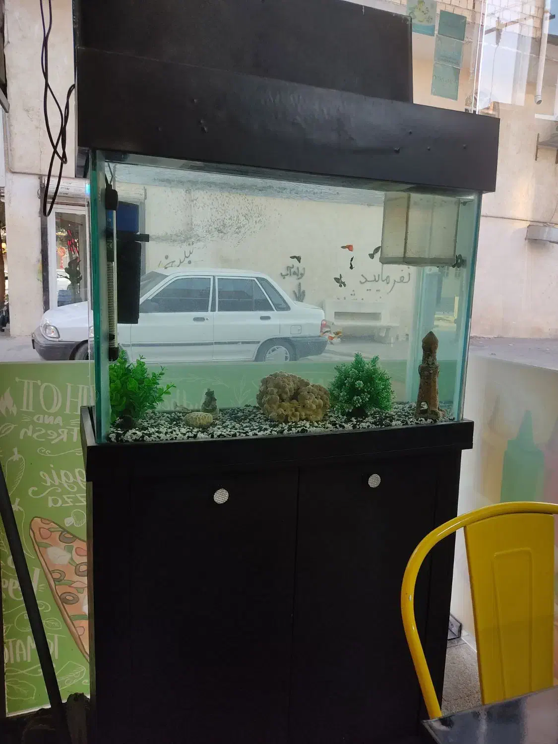 اکواریوم|ماهی|محمدشهر, ولدآباد|دیوار