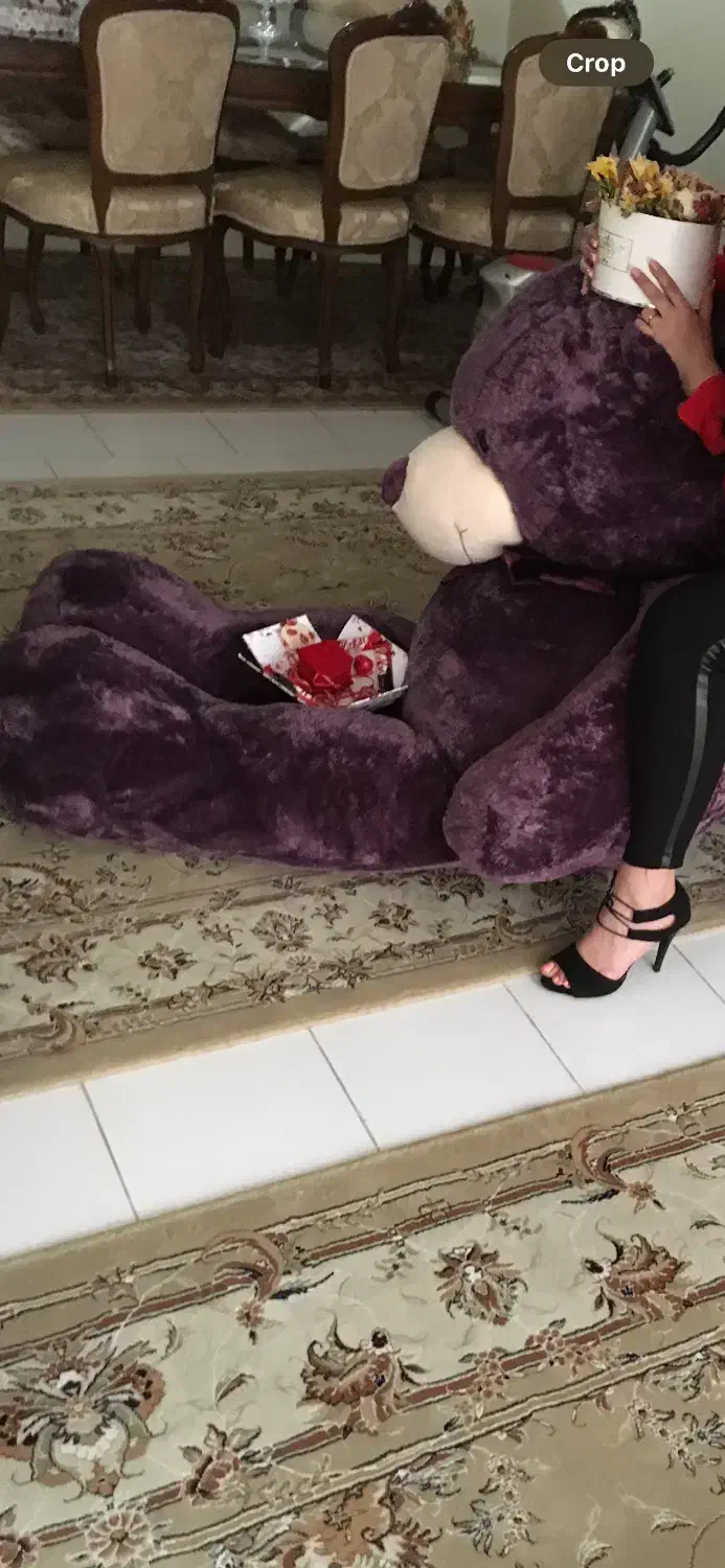 خرس تدی سوپرایز ولنتاین به علت مهاجرت میزارم فروش|اسباب‌بازی بچه|تهران, اختیاریه|دیوار