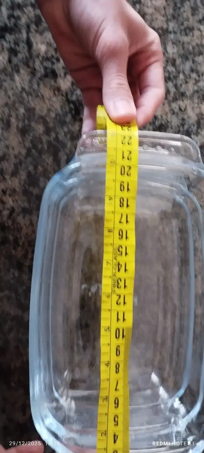 کاسه مربا و خلال|ظروف سرو و پذیرایی|کوهدشت, |دیوار