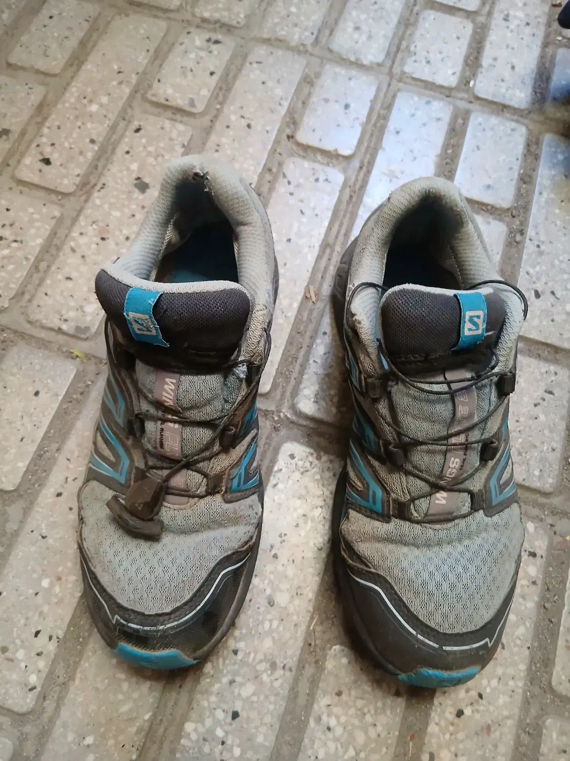 کفش سالامون اصلی پیاده روی و کوه نوردی|کیف، کفش، کمربند|کامیاران, |دیوار