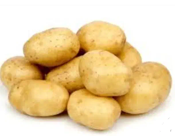 سیب زمینی|عمده‌فروشی|گلپایگان, |دیوار