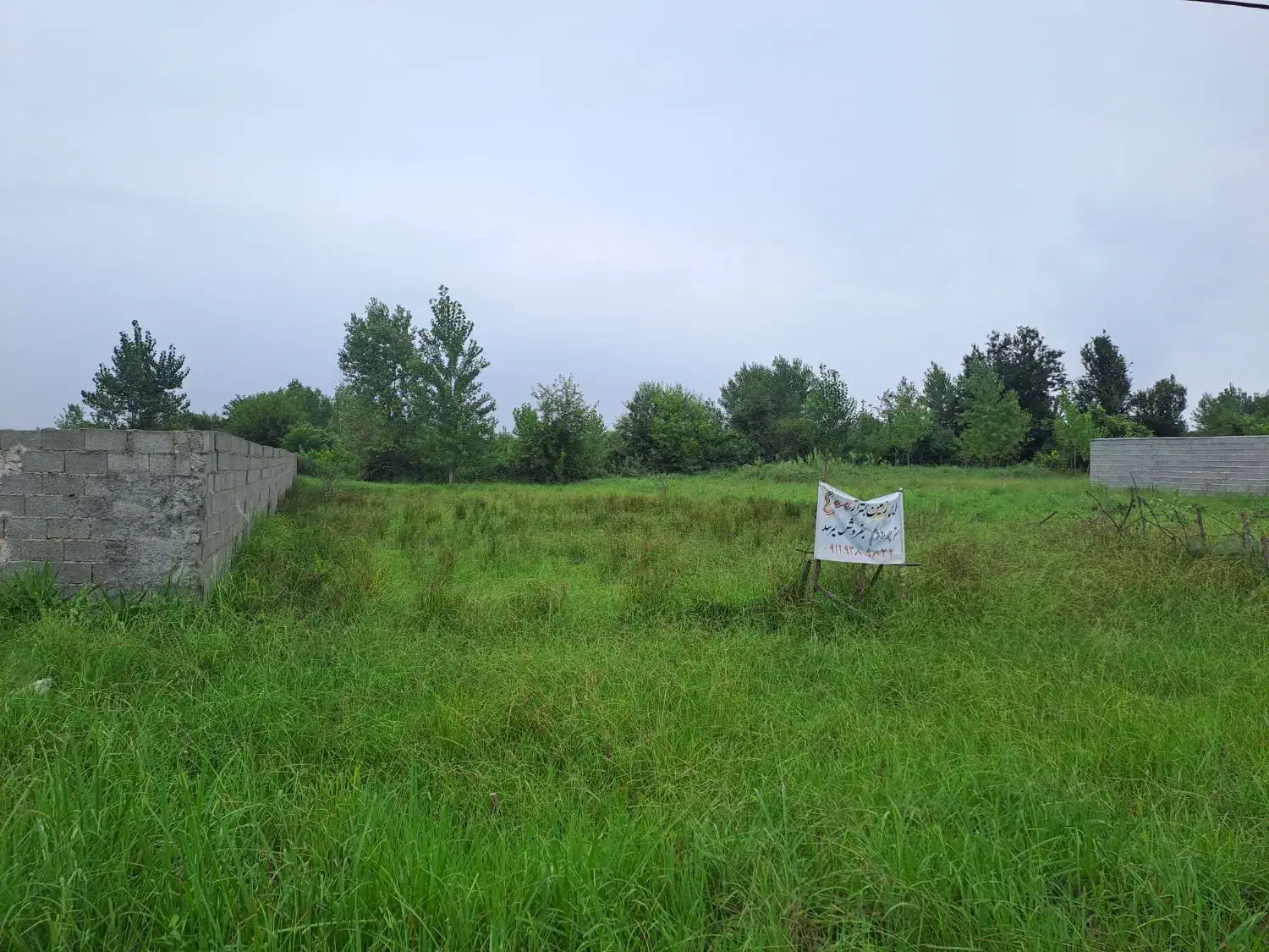 زمین|فروش زمین و ملک کلنگی|رشت, معلولین|دیوار