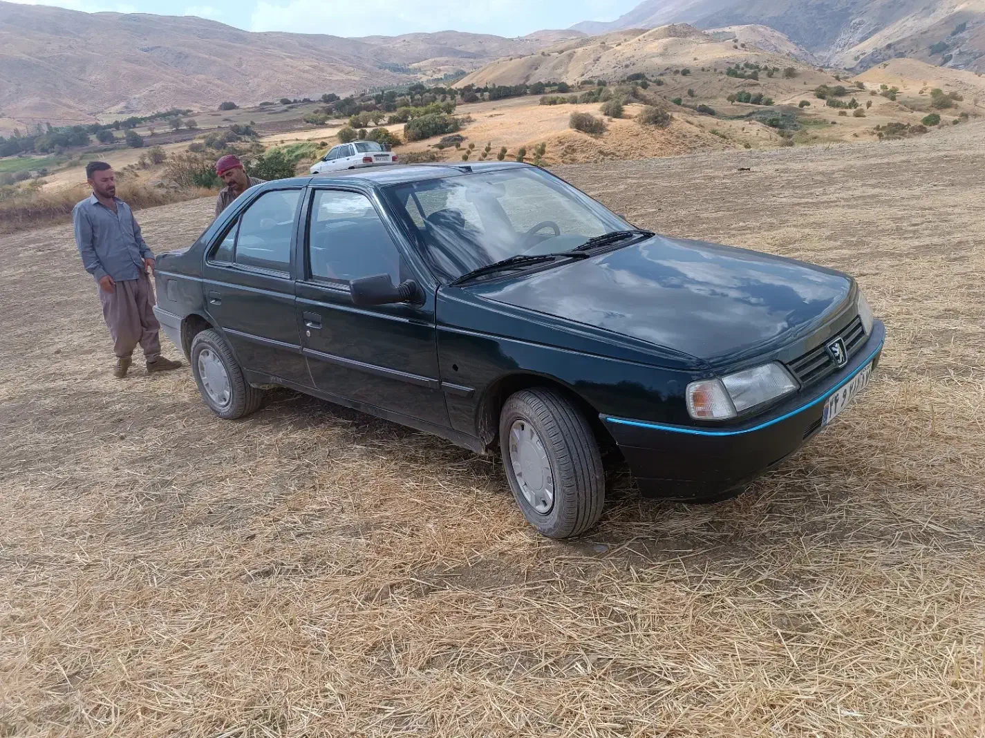 پژو آردی|خودرو سواری و وانت|پیرانشهر, |دیوار