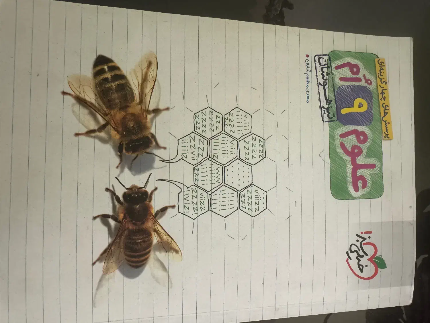 کتاب نهم|کتاب و مجله آموزشی|قم, قم نو|دیوار