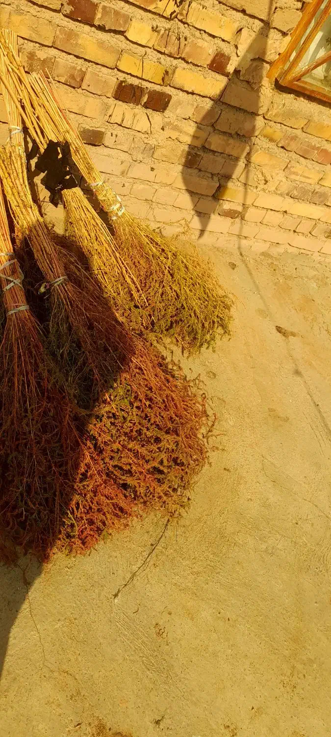 انواع  مدل مو|لوازم نظافت|تربت جام, بیست متری منبع آب|دیوار