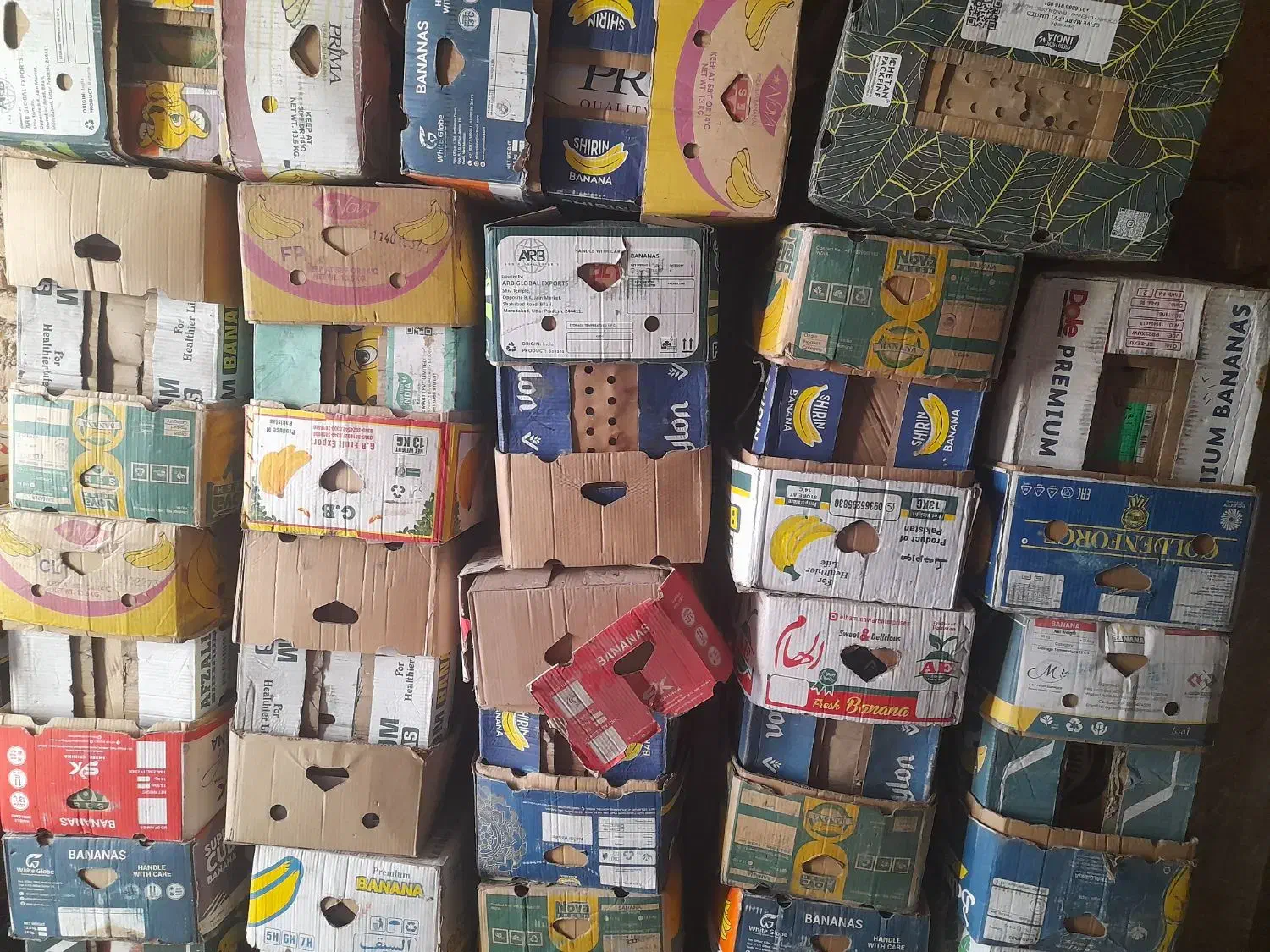 کارتون موزی|حراج|اسفراین, |دیوار