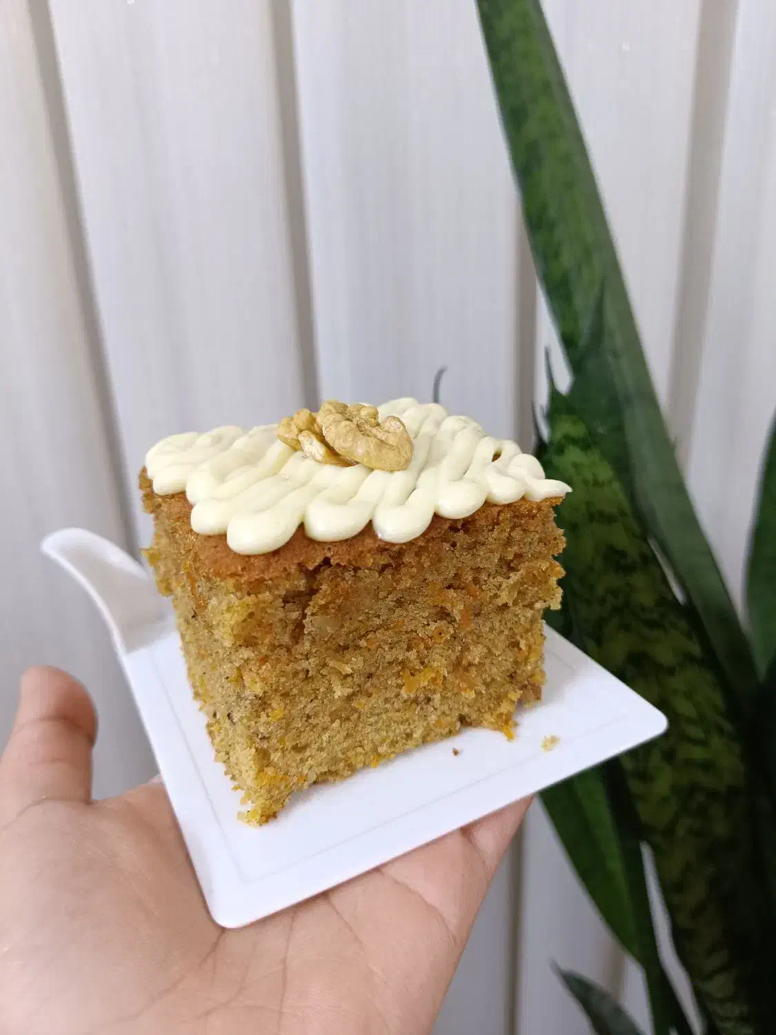 براوونی و کوکی|خوردنی و آشامیدنی|قم, دروازه چوبی|دیوار