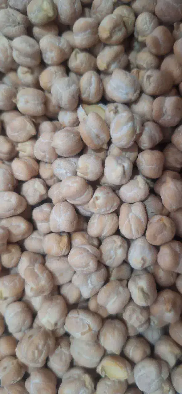 نخود|عمدهفروشی|رزن, |دیوار