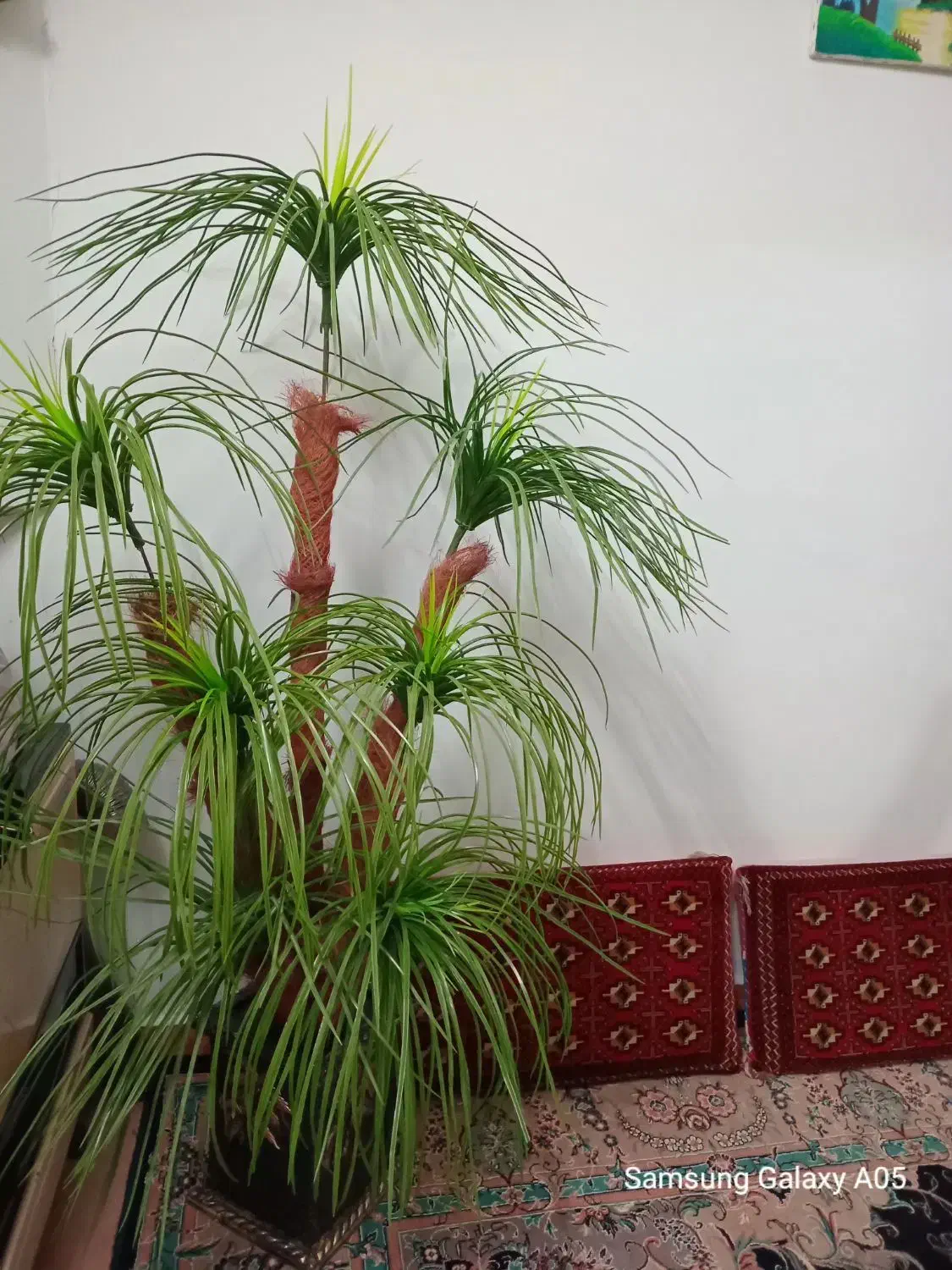 نخل مصنوعی|گل مصنوعی|قوچان, |دیوار