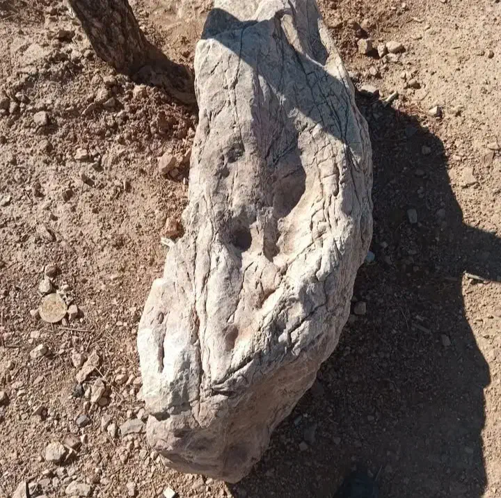 راهنمای سنگ|فعالیت داوطلبانه|کرمان, |دیوار