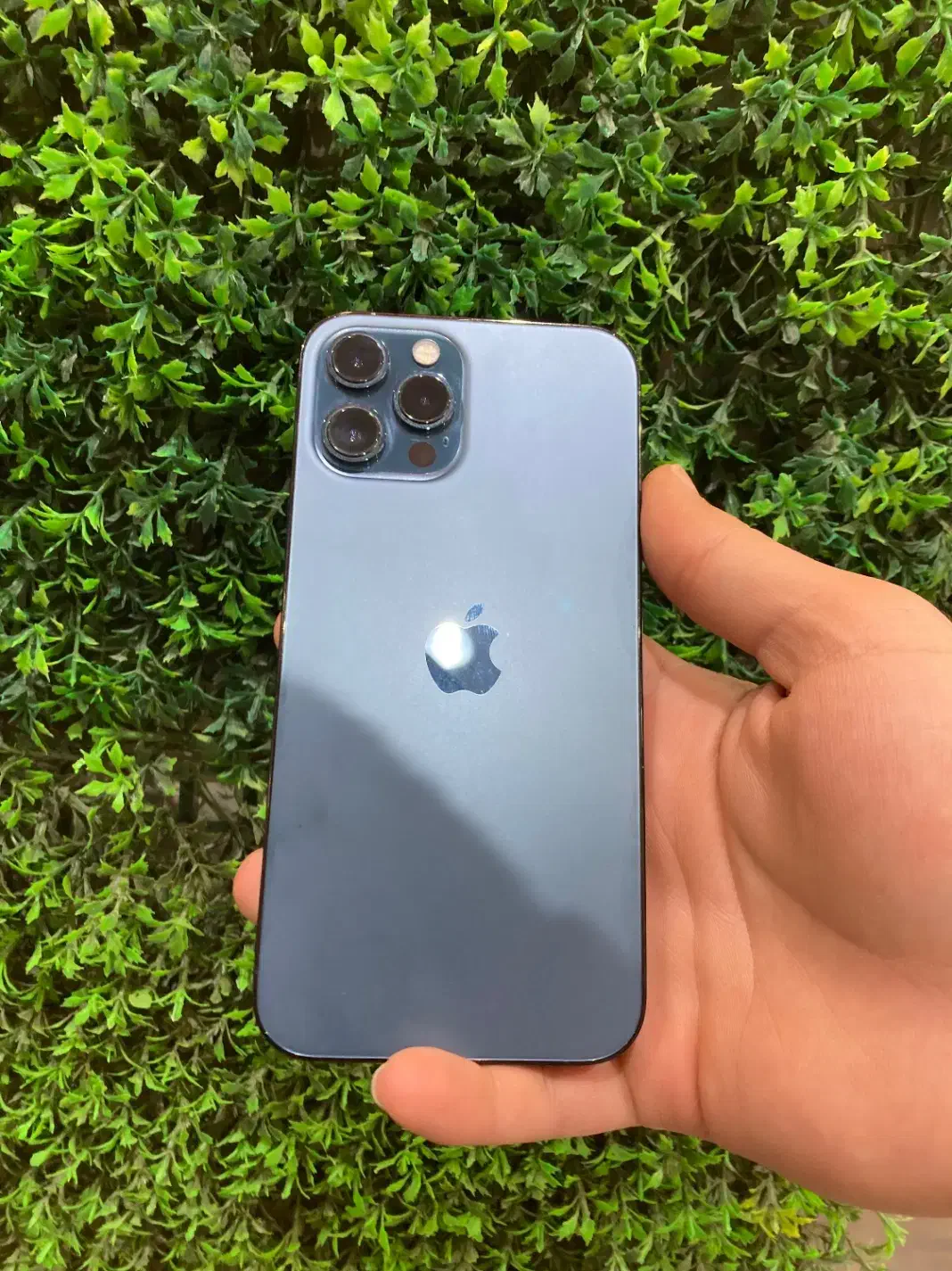 12 pro max|موبایل|بجنورد, |دیوار