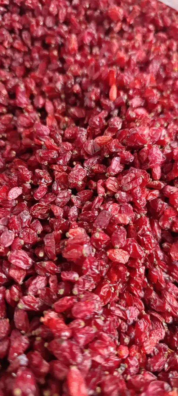 زرشک پلویی تازه بدون هیچ روغن،کاملا سالم|خوردنی و آشامیدنی|شیروان (خراسان), |دیوار