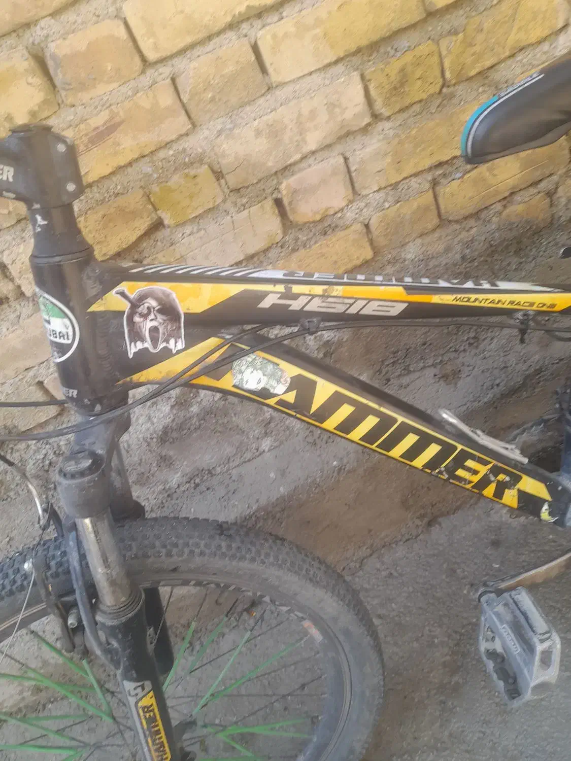 دوچرخه|دوچرخه، اسکیت، اسکوتر|خزل, |دیوار