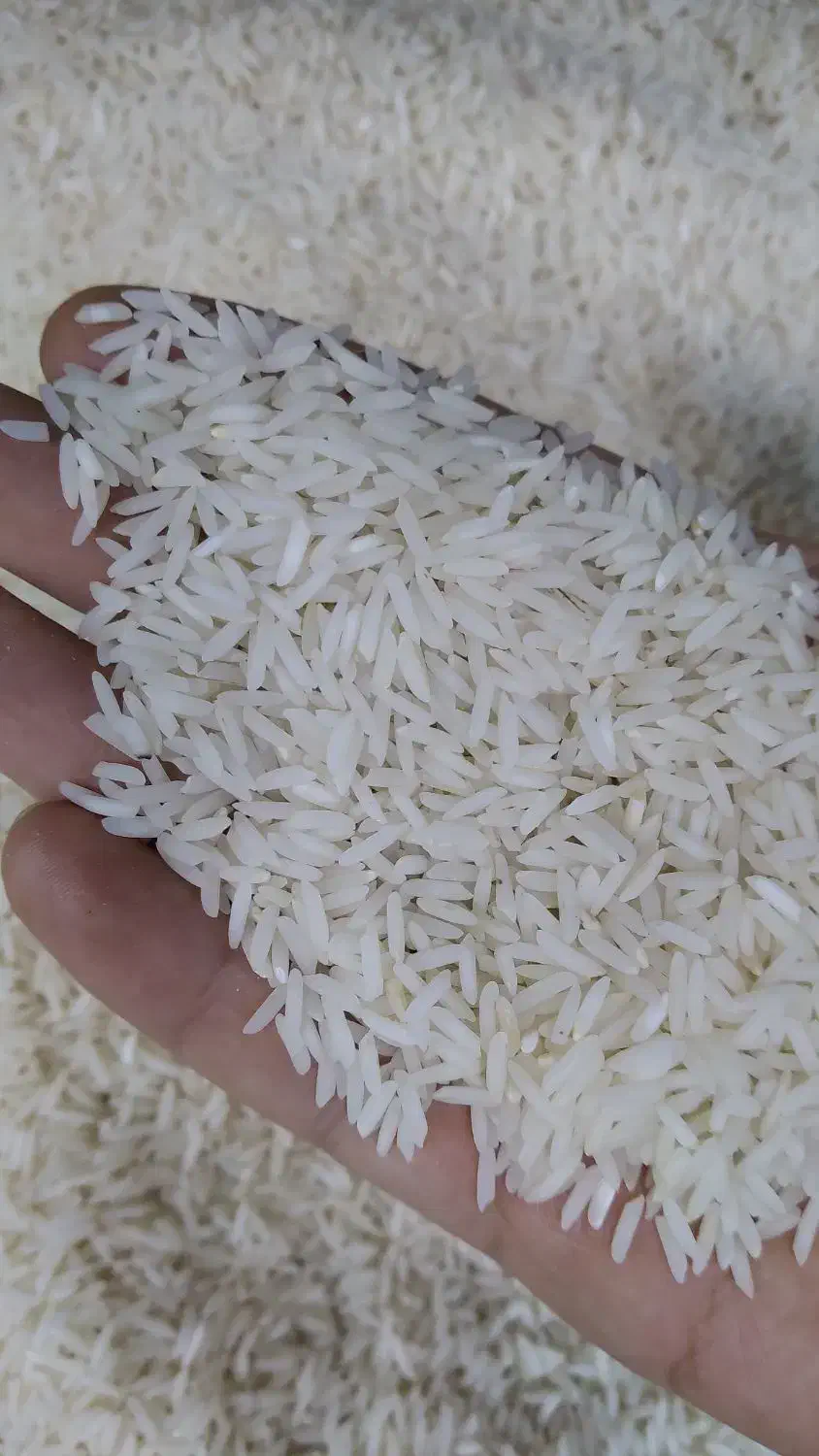 برنج معطر گلچین ایرانی به شرط|خوردنی و آشامیدنی|فردیس, فردیس|دیوار