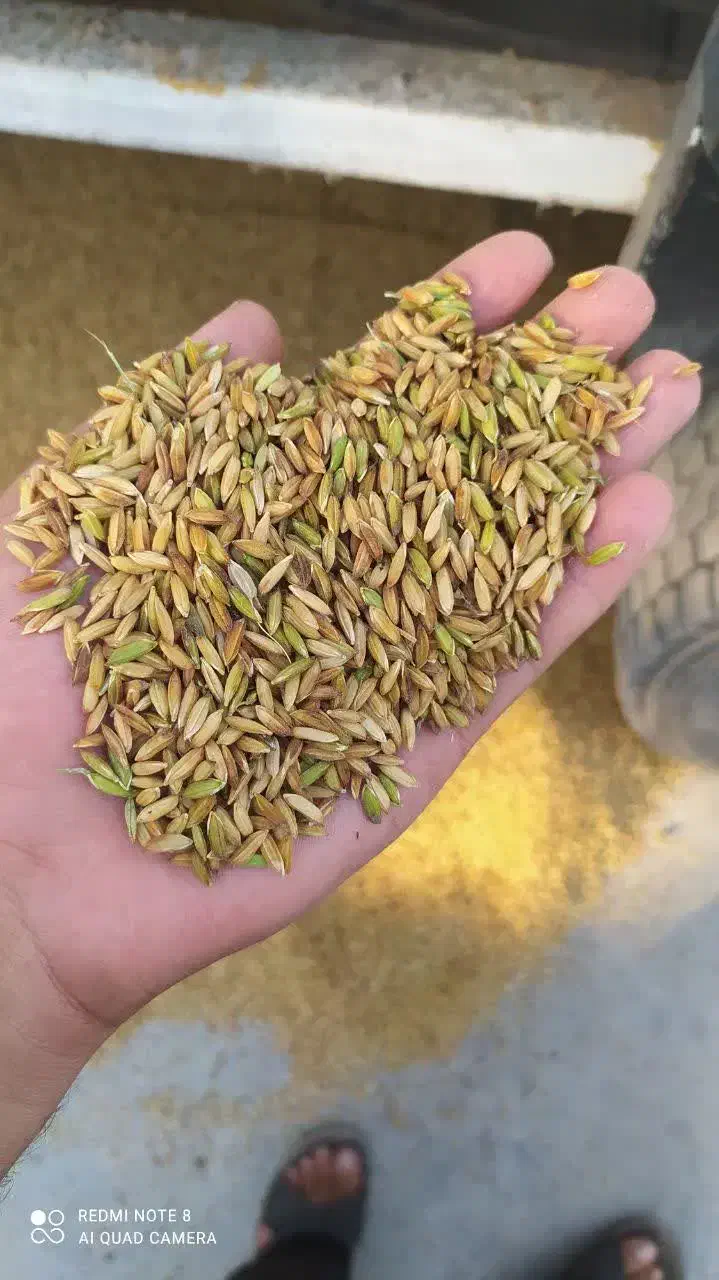 چلتوک عنبر بو شوشتر|خوردنی و آشامیدنی|اصفهان, براآن شمالی|دیوار