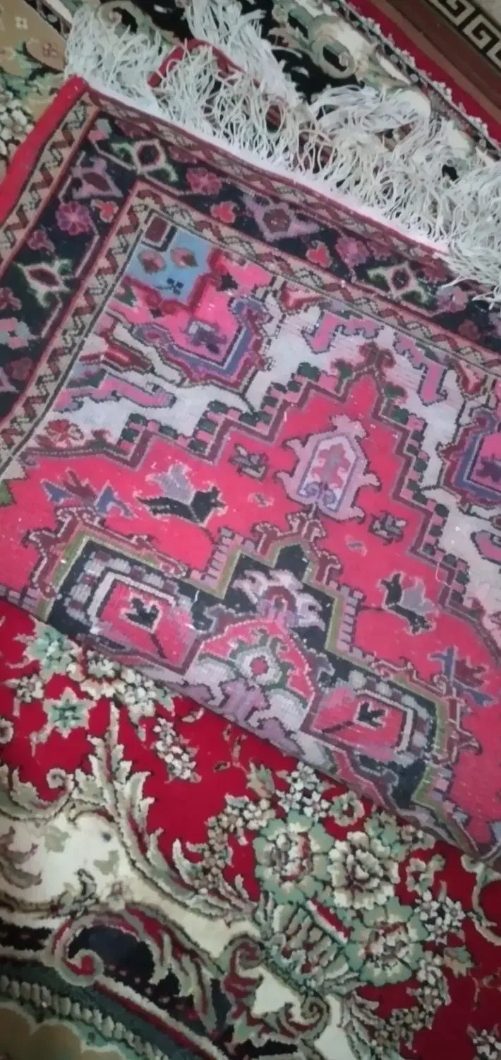 فرش زرنیم|فرش|تبریز, |دیوار