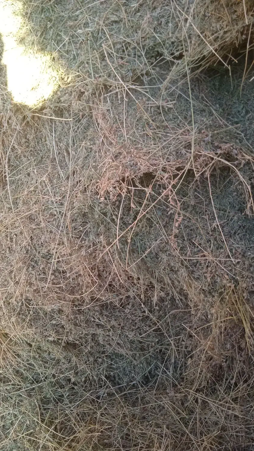 فروش یونجه|لوازم جانبی حیوانات|هریس, |دیوار