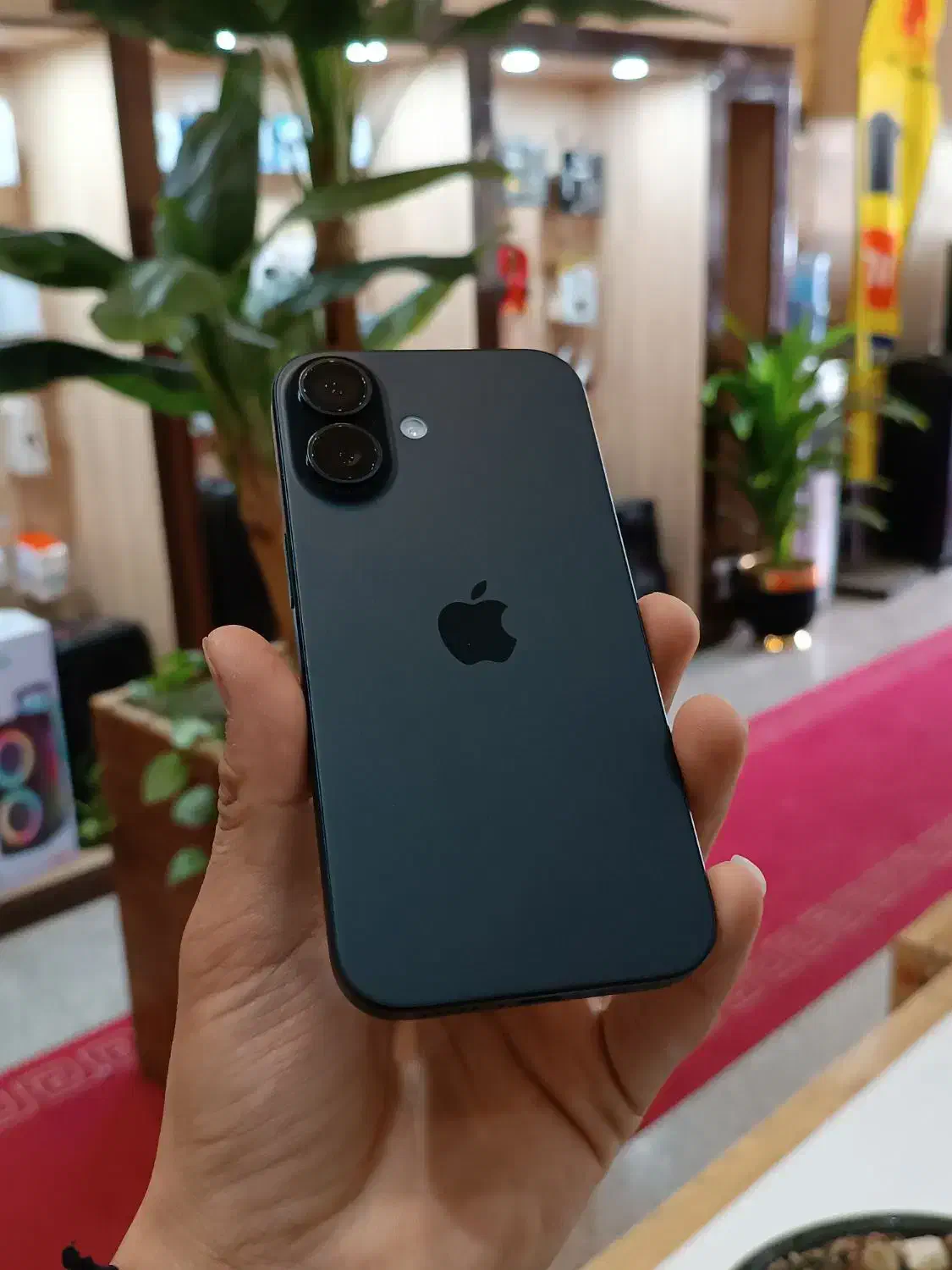 ایفون 16 نرمال باتری 100|موبایل|یزد, |دیوار