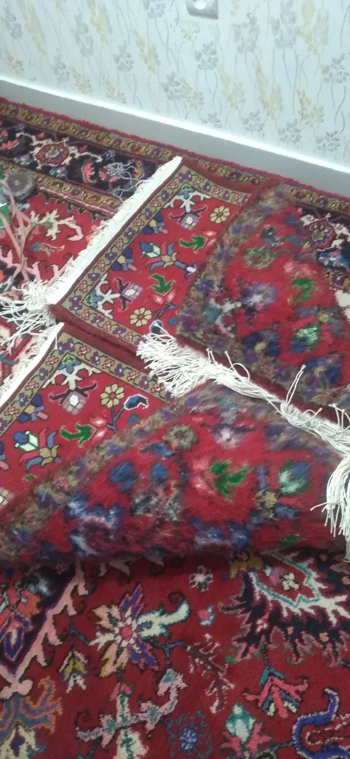 پادری|پادری|تبریز, |دیوار