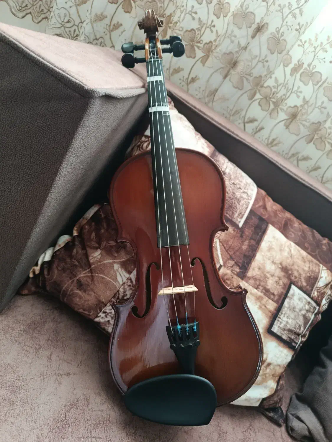 ویولن 3/4 بسیار با کیفیت ، معاوضه با کمانچه|ویولن|پاکدشت, پاکدشت (مامازند)|دیوار