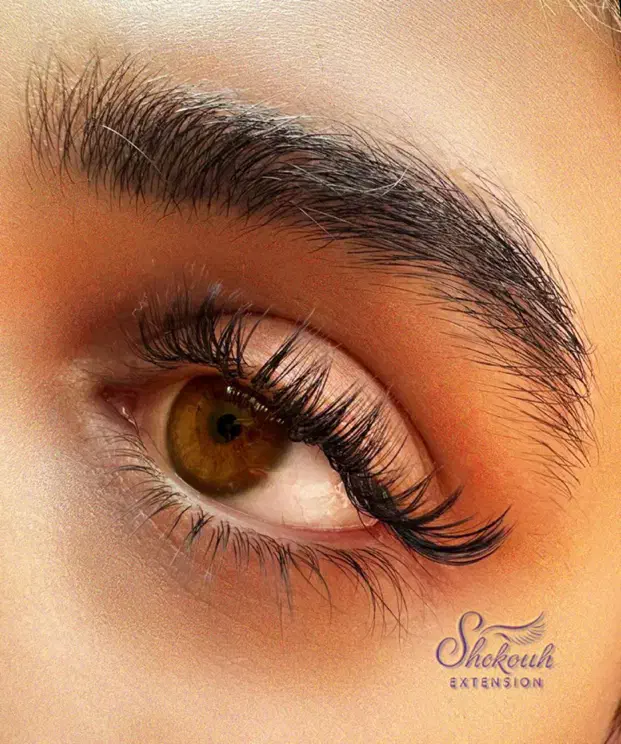 اکستنشن مژه|خدمات آرایشگری و زیبایی|محمدشهر, همایون ویلا|دیوار