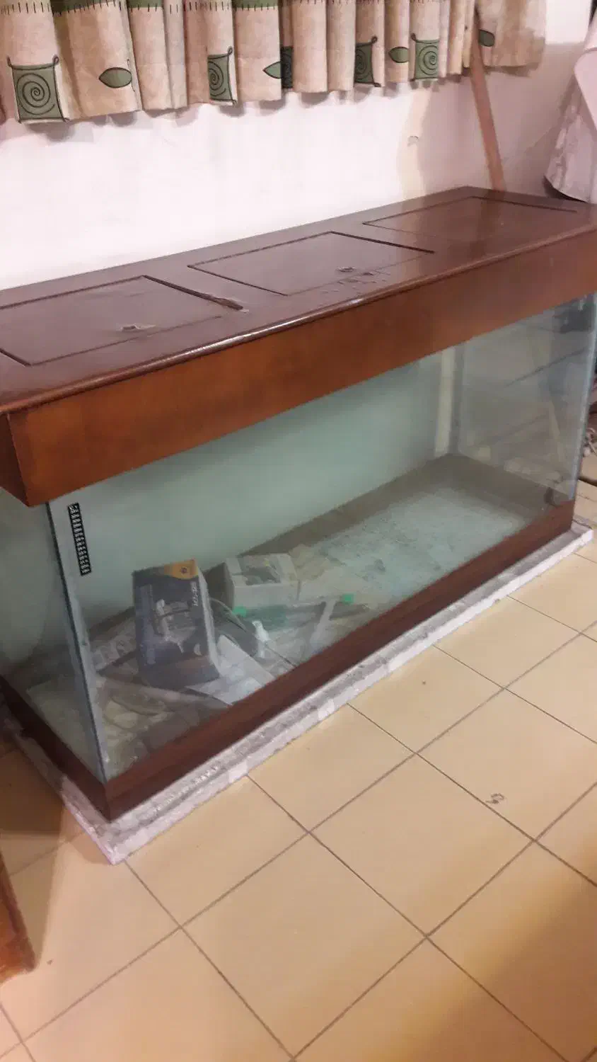 آکواریوم بزرگ|ماهی|تهران, جردن|دیوار