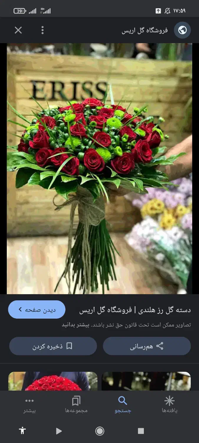 گل و گیاه طبیعی|گل و گیاه طبیعی|شیراز, کوشک میدان|دیوار