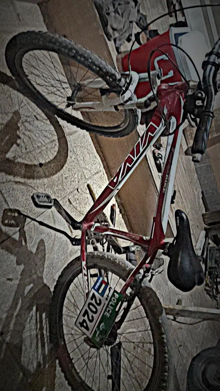 دوچرخه ویوا ۲۶ سند دار|دوچرخه، اسکیت، اسکوتر|اسفراین, |دیوار