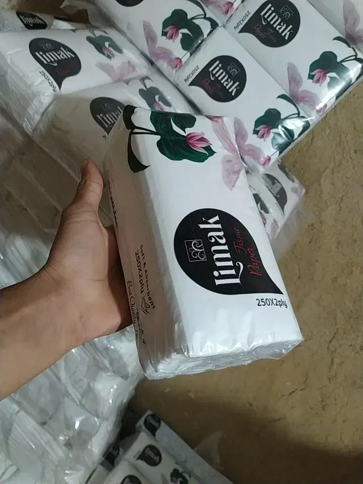 دستمال کاغذی|مواد شوینده و دستمال کاغذی|سنندج, |دیوار