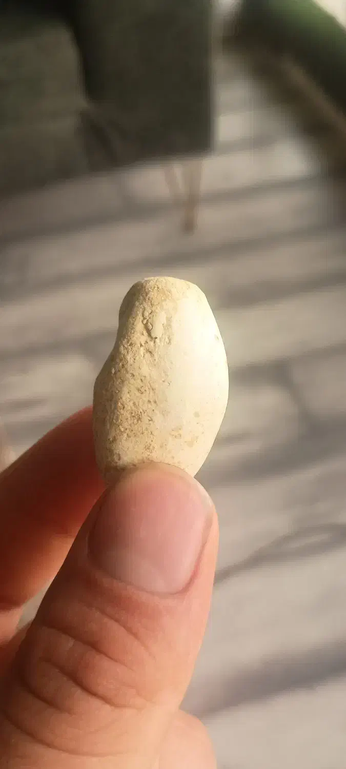 مهره|کلکسیون اشیاء عتیقه|کرمانشاه, |دیوار