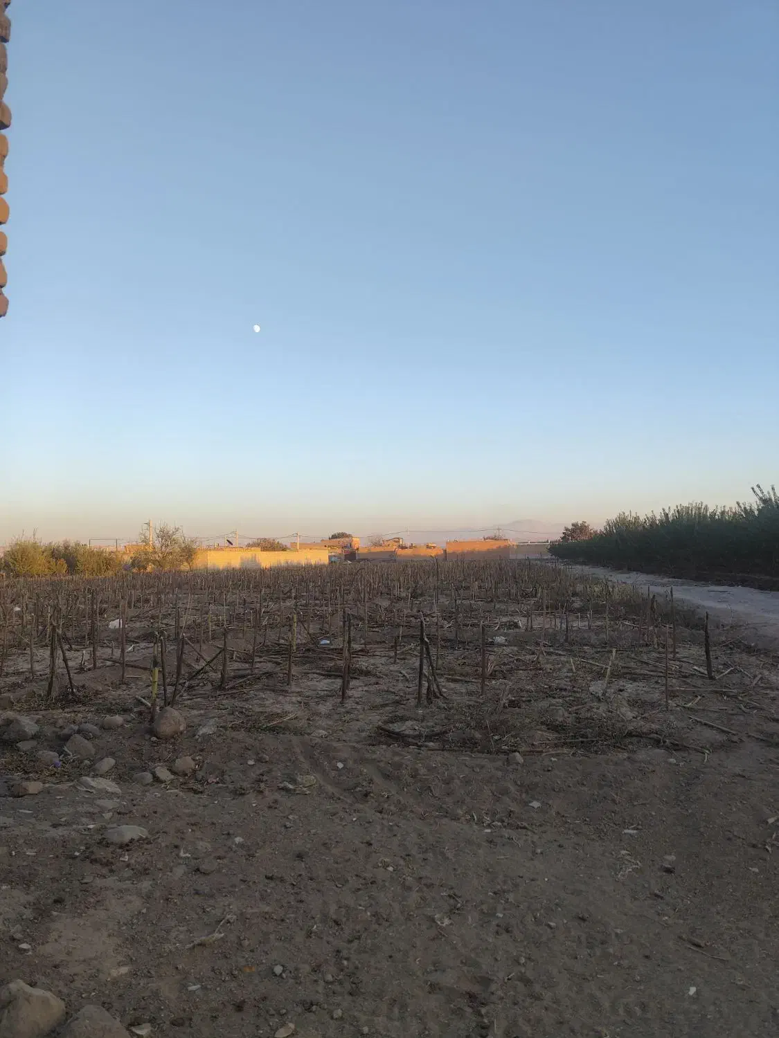 زمین باغی و ویلایی با سهم آب چاه|فروش زمین و ملک کلنگی|ایلخچی, |دیوار