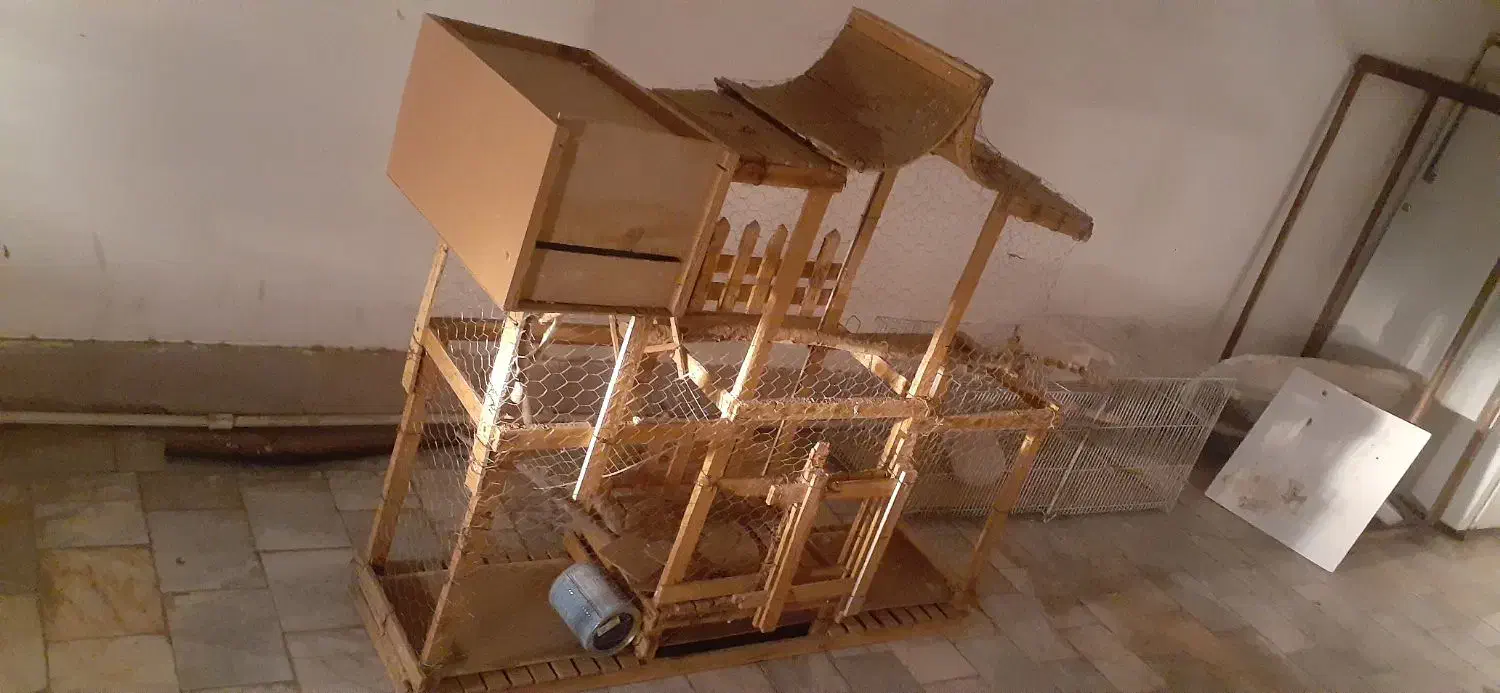 قفس پرنده|لوازم جانبی حیوانات|بیرجند, |دیوار