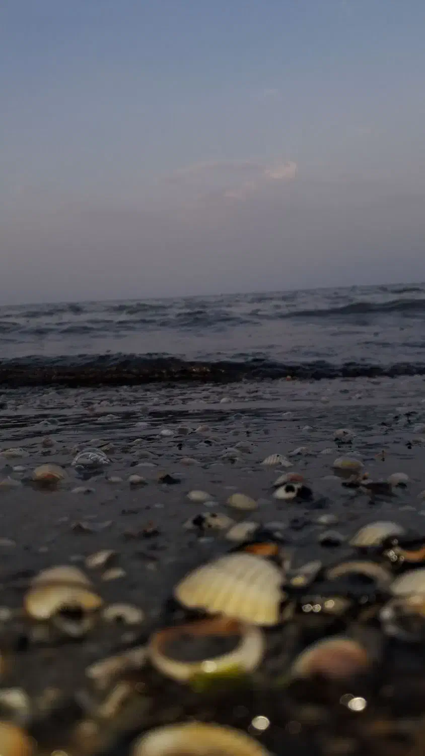 5میل طلای رایگان و 50تومن پول|کارت هدیه و تخفیف|قم, پردیسان|دیوار