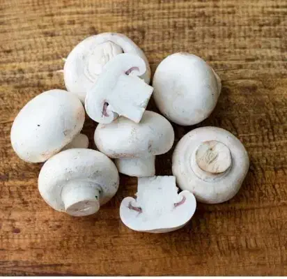 قارچ ارسال رایگان|خوردنی و آشامیدنی|شیراز, تندگویان|دیوار