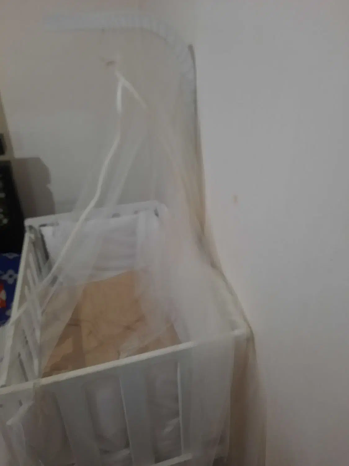 تخت|تخت و صندلی بچه|اردبیل, |دیوار