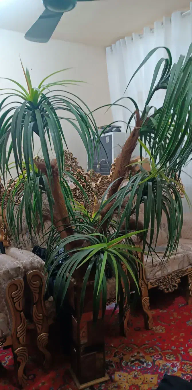 بهارستان|گل مصنوعی|اهواز, بهارستان|دیوار