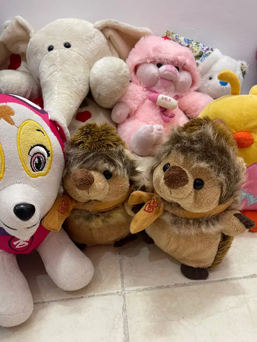 عروسک های پولیشی خارجی|اسباب‌بازی بچه|کیش, |دیوار