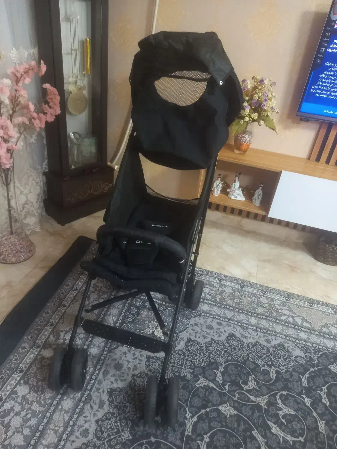 کالسکه چرخی|کالسکه و لوازم جانبی|رشت, پاره بیجار|دیوار