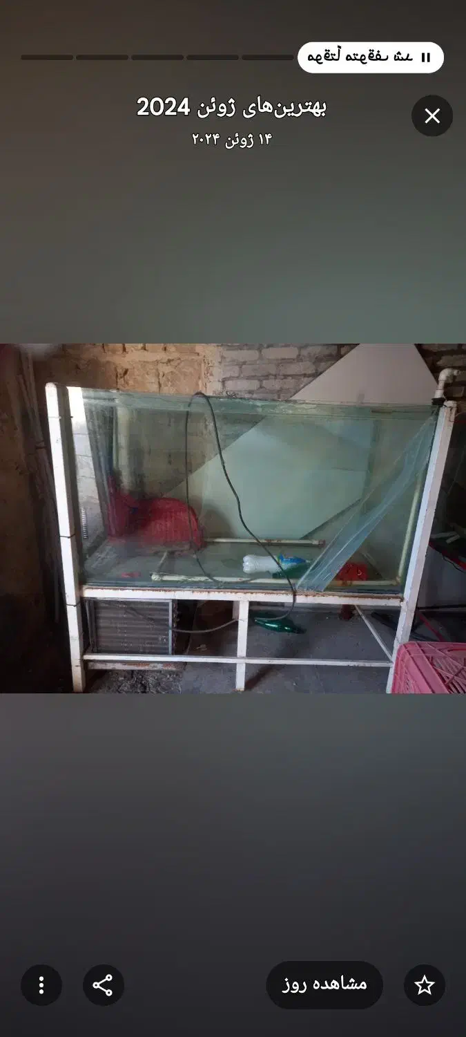 اکواریوم ماهی|ماهی|کرمانشاه, |دیوار