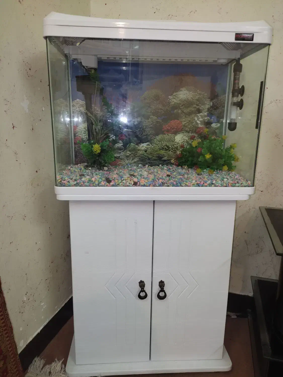 اکواریم|ماهی|اهواز, پردیس|دیوار