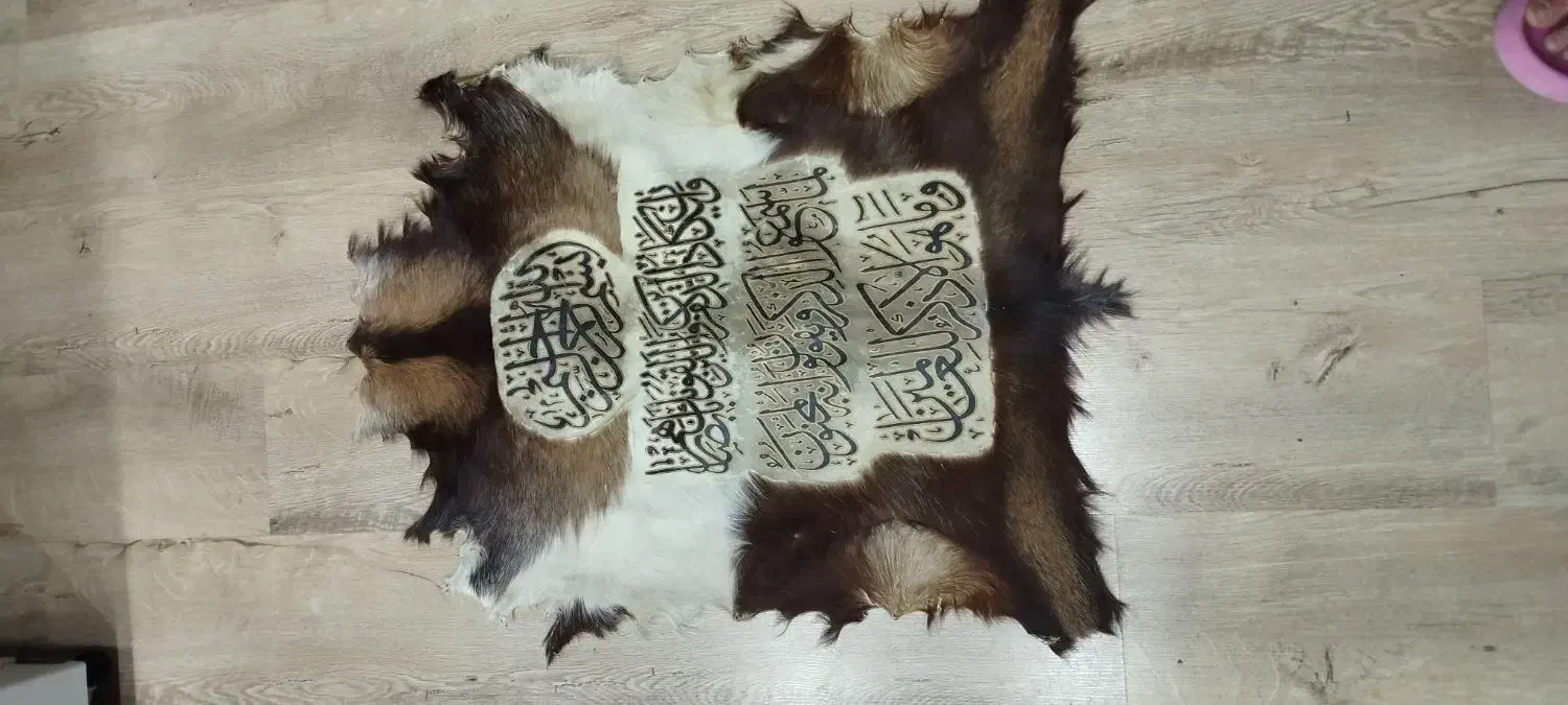 تابلو پوست|تابلو، نقاشی، عکس|ایلام, |دیوار